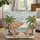 Personalized Beach Umbrella Chairs Seagulls Ocean Name Medallion - Summer Travel Essentials Quilted Tote Bag - 1