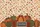 Ornamental Pumpkins Gourds Autumn Leaves Floral - Fall Harvest Bag Gift Quilted Tote Bag - 7