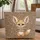 Fennec Fox Wooden Sign Leopard Spots Wildlife Lover Bag Gift for Animal Fan Quilted Tote Bag - 1