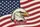 Powerful Bald Eagle American Flag Stars Stripes Independence Day Gift Quilted Tote Bag - 7
