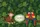 Tropical Monkey Macaw Palm Fronds Leaf Garland - Wildlife Lover Gift Quilted Tote Bag - 7