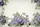 Climbing Purple Roses Green Leaves Garden - Floral Bag Gift Quilted Tote Bag - 7