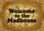Welcome to the Madhouse Text Chunky Golden Brown Swirls - Everyday Outdoor Decor Doormat - 7