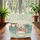 Kimono Cat Yawn Japanese Landscape Asanoha Cherry Blossom Your Name Cat Lover Gift Quilted Tote Bag - 3