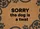 Sorry The Dog Is A Twat - Funny Dog Lover Home Decor Gift Doormat - 7