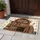 Black Cat Bookshelf Folk Art Books Cactus - Home Decor Gift for Book Lover Doormat - 5