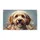 duiyfppz/products/69f18359ca526d122ce88e91/gallery/KrqBLld6PW