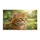 duiyfppz/products/69f18396211a914a8316ed17/gallery/WGgS3xiet3