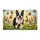 duiyfppz/products/69f18548ca526d343ae89323/gallery/qJuaxdT60Q