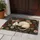 American Opossum Antique Roses Peonies Daisies Berries - Wildlife Lover Home Decor Gift Doormat - 5
