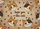 Hope You Like Cats Four Cats Peeking Paw Prints - Cat Lover Home Decor Gift Doormat - 7