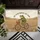 Radical Left Scum Frog Cat Bicycle - Political Statement Home Decor Gift Doormat - 6
