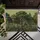Majestic Forest Broadleaf Palm Pine Trees Woodland Scene - Home Decor Gift Doormat - 6