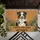 Australian Shepherd Dog I HOPE YOU LIKE AUSSIES - Dog Lover Home Decor Gift Doormat - 6
