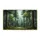Diverse Forest Trees Woodland Scene Pine Fir Deciduous - Home Decor Gift Doormat - 3
