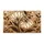 Large Floral Blooms Creamy Beige Petals Organic Leaves - Brown Outlining Home Decor Gift Doormat - 3