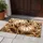 Large Floral Blooms Creamy Beige Petals Organic Leaves - Brown Outlining Home Decor Gift Doormat - 5