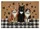 Cool Cats Live Here Orange Black Calico Cats Paw Prints Buffalo Plaid - Cat Lover Home Decor Doormat - 7