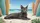 Green Eyed Grey Cat Vintage Surfboards Tropical Ocean - Car Decor Cat Lover Gift Car Sunshade - 7