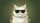 White Shorthair Cat Wayfarer Sunglasses - Car Interior Decor Gift for Auto Owners Car Sunshade - 7