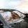 Long-Haired Brown Dachshund Magnolia Sky - Dog Lover Car Decor Gift Car Sunshade - 6