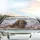 Long-Haired Brown Dachshund Magnolia Sky - Dog Lover Car Decor Gift Car Sunshade - 5