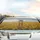Golden Wildflower Field Rustic Tubular Wood Chimes - Peaceful Car Decor Gift Car Sunshade - 5