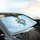 Blue Morpho Butterfly Daisy Musical Notes Sky - Nature Lover Gift Car Sunshade - 6