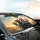 Joyful Tabby Cats with Sunglasses - Travel Essentials Car Sunshade - 6