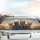 Joyful Tabby Cats with Sunglasses - Travel Essentials Car Sunshade - 5