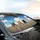 Curious Cats Wooden Fence Cloudy Sky - Everyday Auto Accessory for Cat Owners Car Sunshade - 6