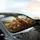 Capybaras Wildflower Hills Joyous Gathering - Wildlife Lover Gift Car Sunshade - 6