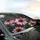 Black Pink Butterfly Soft Pink Coneflower Dark Charcoal Background Wildlife Lover Gift Car Sunshade - 6