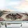 Majestic Heavily Scaled Black Dragon Pink Roses Ethereal Scrollwork - Fantasy Lover Gift Car Sunshade - 5