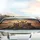 Four Expressive Cats Road Trip Dramatic Desert Sunset Travel Essentials Cat Lover Gift Car Sunshade - 5