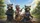 Four Raccoons Driving Open Road Banjo Guitar - Road Trip Lover Wildlife Gift Car Sunshade - 7