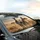 Zebra Family African Savannah Golden Sunset Landscape - Wildlife Lover Gift Car Sunshade - 6