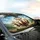 Joyful Smiling Goats Rolling Hills Landscape - Wildlife Lover Gift Car Sunshade - 6