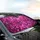 Sparkling Holographic Glitter Flakes - Iridescent Magenta Fuchsia Car Interior Decor Car Sunshade - 6