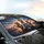 Four Cats Sunglasses Highway Drive - Road Trip Essentials Cat Lover Gift Car Sunshade - 6