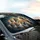 Fluffy Majestic Long-Haired Ginger Tabby Calico Cats with Red Bell Collar - Cat Lover Gift Car Sunshade - 6