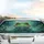 Green Frog Reflective Orange Eyes Pond Mist Aquatic Foliage - Wildlife Lover Gift Car Sunshade - 5