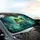 Green Frog Reflective Orange Eyes Pond Mist Aquatic Foliage - Wildlife Lover Gift Car Sunshade - 6