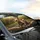 Yorkshire Terriers White Flower Golden Hour Journey - Dog Lover Driver Lifestyle Gift Car Sunshade - 6