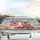 Plump Pigs Steering Wheel Road Trip - Travel Essentials Gift for Pig Lovers Car Sunshade - 4