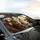 Brown Tabby White Cat Driving Luxury Car - Cat Lover Adventure Gift Car Sunshade - 6
