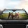 Friendly Pitbull Dogs Winding Road - Adventure Lover Gift Car Sunshade - 4