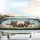 Tabby Cats Celebration Adventure - Cat Lover Travel Gift Car Sunshade - 5