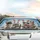 Rabbits Steering Carrots Flying Fish City Skyline - Animal Lover Road Trip Essentials Car Sunshade - 5