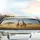 Giraffe Family Journey African Savanna Sunrise - Wildlife Enthusiast Gift Car Sunshade - 5